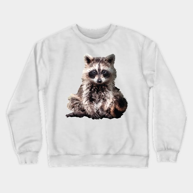 Raccoon Crewneck Sweatshirt by Renasingsasong